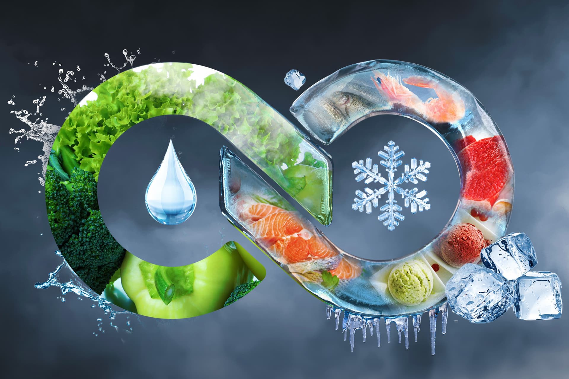 Холодильник или морозильник — выбор за тобой